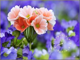 Háttérképek órával: virágok